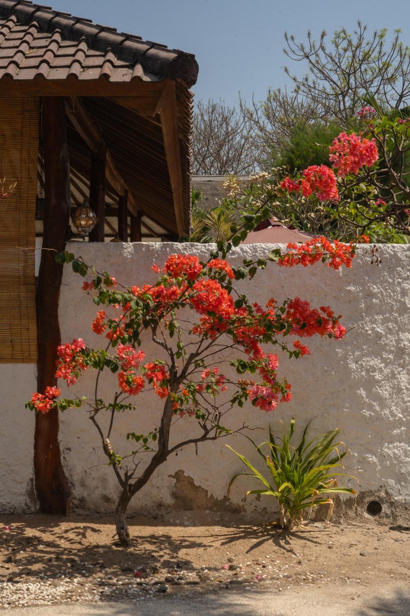 Villa Rika Gili Trawangan Dış mekan fotoğraf